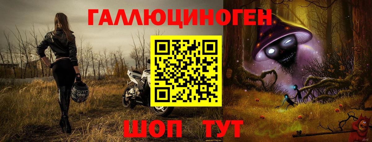 Галлюциногенные грибы прущие грибы Нововоронеж