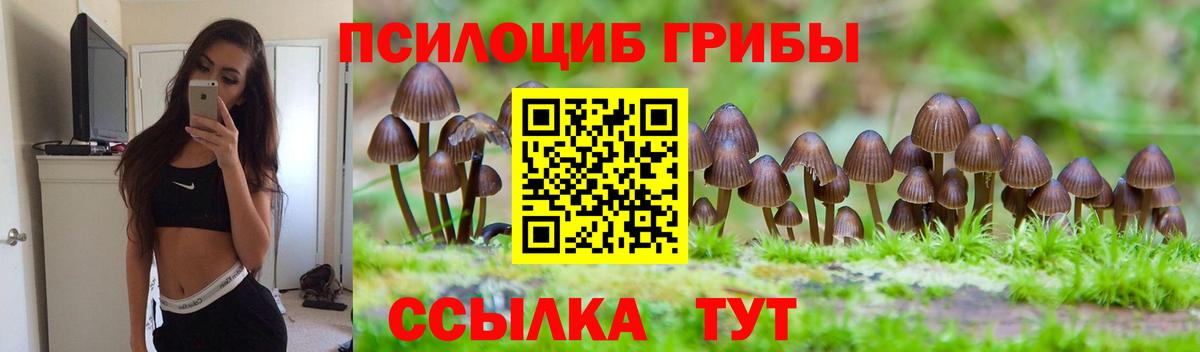 Нововоронеж  Галлюциногенные грибы MAGIC MUSHROOMS  Вход с VPN 